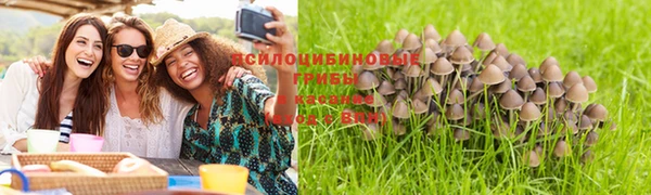 скорость Баксан
