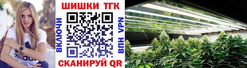 Конопля планчик Кропоткин